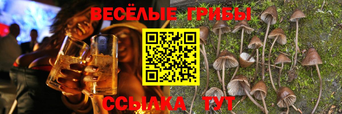 Псилоцибиновые грибы ЛСД Старая Купавна