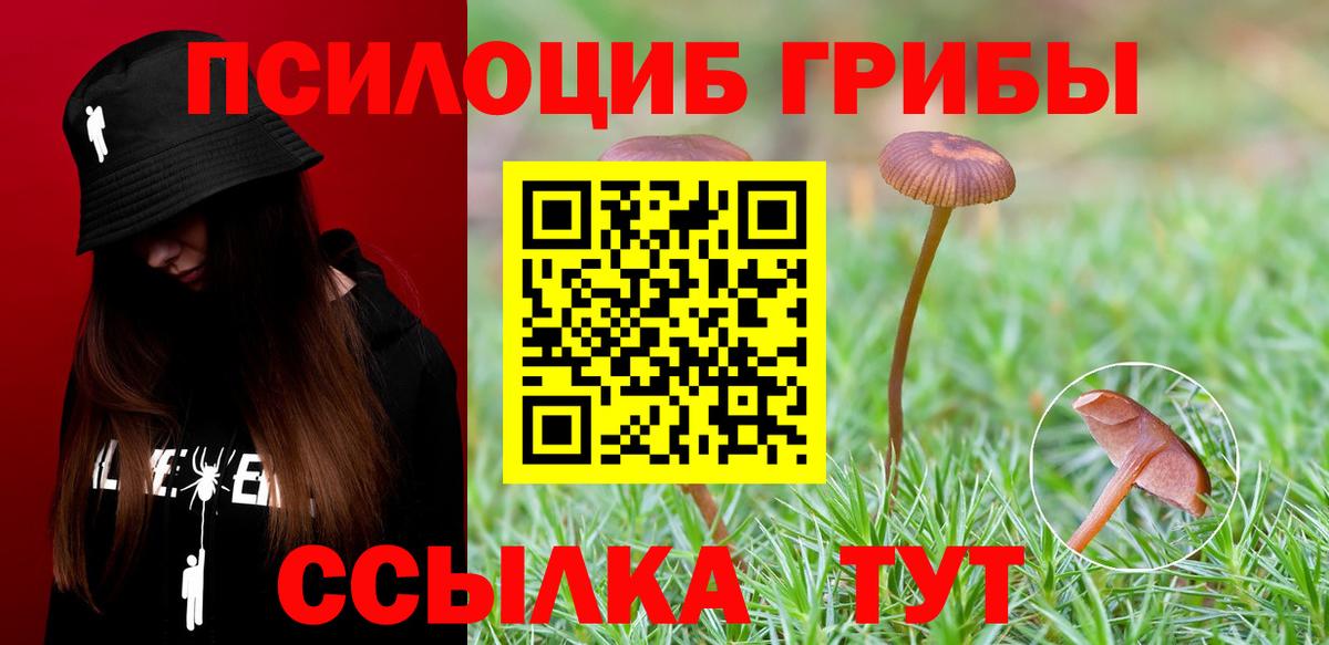 Галлюциногенные грибы MAGIC MUSHROOMS  Вход с VPN  Старая Купавна 