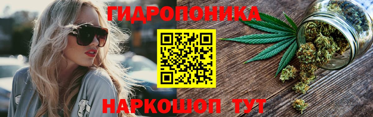 Шишки марихуана сатива Старая Купавна